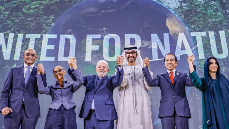 Joint Statement by Brazil and UAE on COP28 to COP30 Nature-Climate Partnership