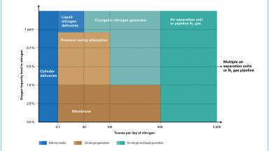 Nitrogen as a utility gas and feedstock for green ammonia
