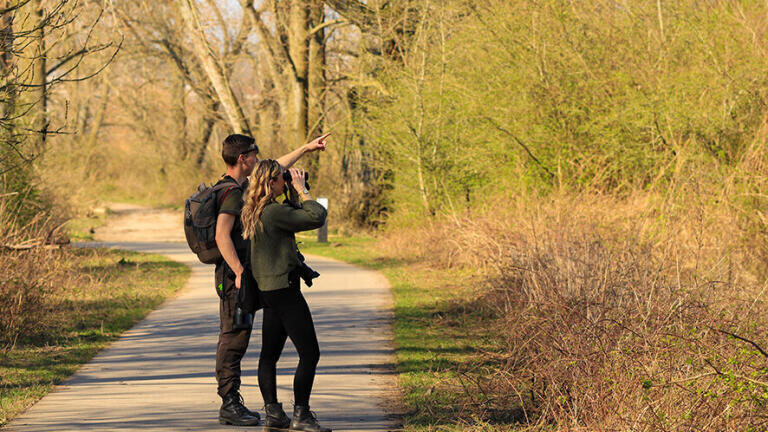 Ecology consultants in the field