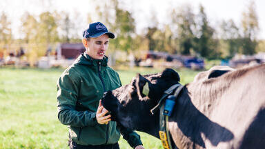 Valio Launches Groundbreaking Carbon-Neutral Dairy Farm Pilot: Aiming for Zero Carbon Footprint in Five Years