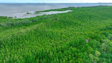 Wood leads operations at groundbreaking carbon capture plant in Wyoming