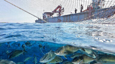 BIO-UV Group and Innovasea Partnership drives growth in North American aquaculture market
