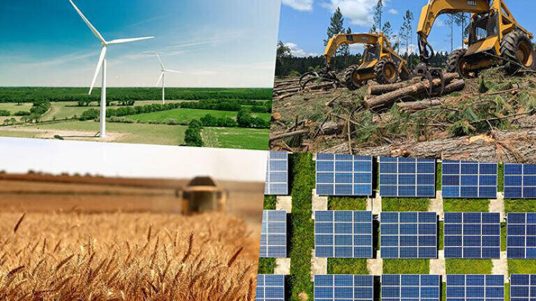 Without major investment in biomass, europe’s energy transition will be more expensive and less effective