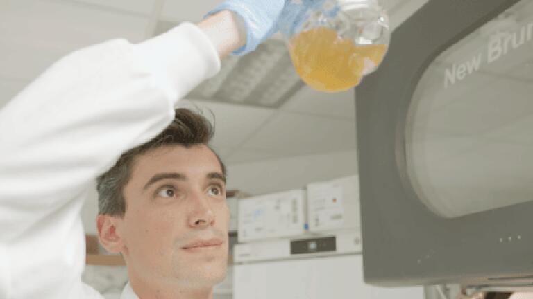 Microbes turn plastic waste into paracetamol