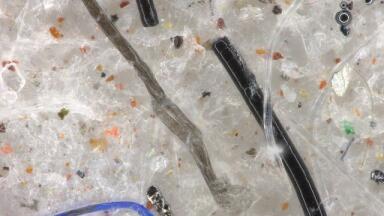 Preventing microfibre pollution released from cruise and hotel laundry