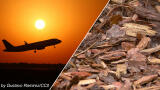 EU sustainable aviation fuel rules could undermine climate goals