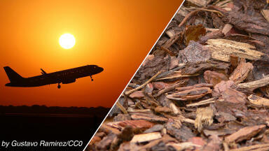 EU sustainable aviation fuel rules could undermine climate goals