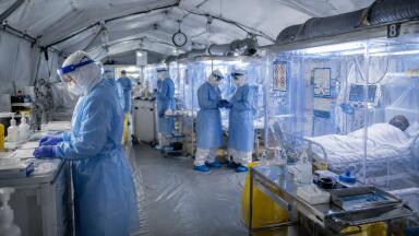 Labmate Online