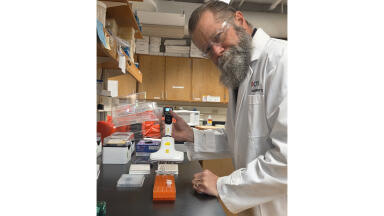 Labmate Online