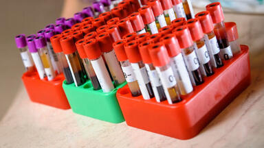 Labmate Online
