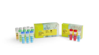 Labmate Online