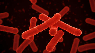 Labmate Online