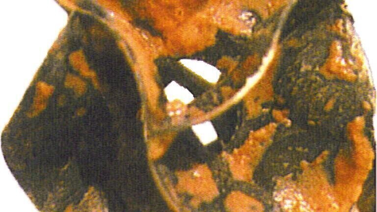 Biofill “Bug Support” High Efficiency Plastic Media Filter