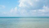 Bluewater Bio Concludes $20 million Contract with the Kingdom of Bahrain