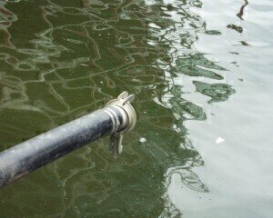 Scientific Microplastic Survey of Scottish Coastal Waters Confirms Contamination