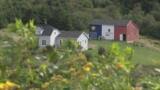 Urgent Action Needed to Embed Environmental Stewardship at the Heart of Government Policy