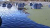 Ultraviolet Water Disinfection