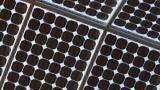 More Environmental Protection in China Thanks to an Emphasis on Quality Growth