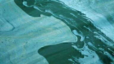 Maynilad selects Veolia Water Solutions & Technologies to design and build two MBBR Sewage Treatment Plants